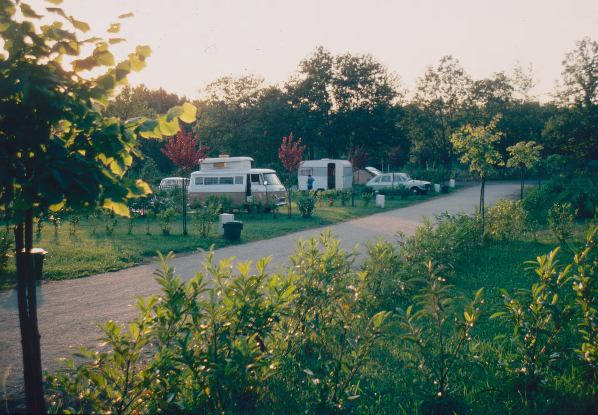 Exploring the Joys of Solo Camping: A Guide to Your Personal Outdoor Adventure